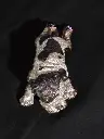 Chien orgonite 4.webp